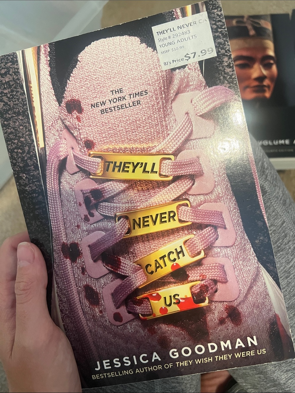 They’ll never catch us by Jessica Goodwan book